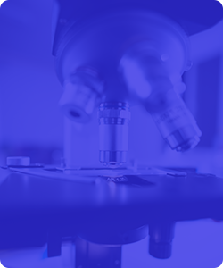 组合数学：数学建模在计算机与生物领域的应用